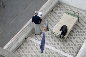 Man stands on a terrace with a dog on a bed